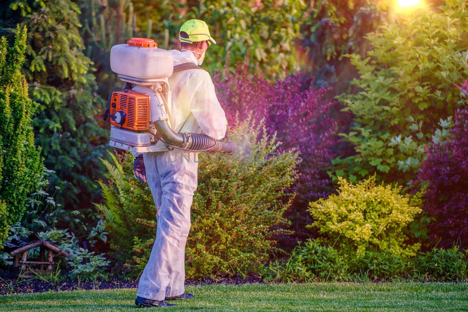 Pest Control Garden Spraying by welcomia