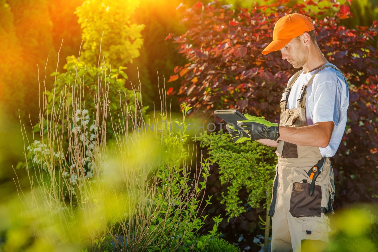 Gardener Working on Tablet. Landscaper and the Garden Design Displaying on the Tablet Computer.