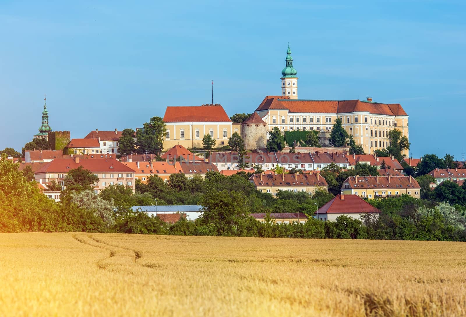 Mikulov Castle is Situated in The Town of Mikulov in South Moravia, Czech Republic. Mikulov Castle Summer Scenery with Rye Field.