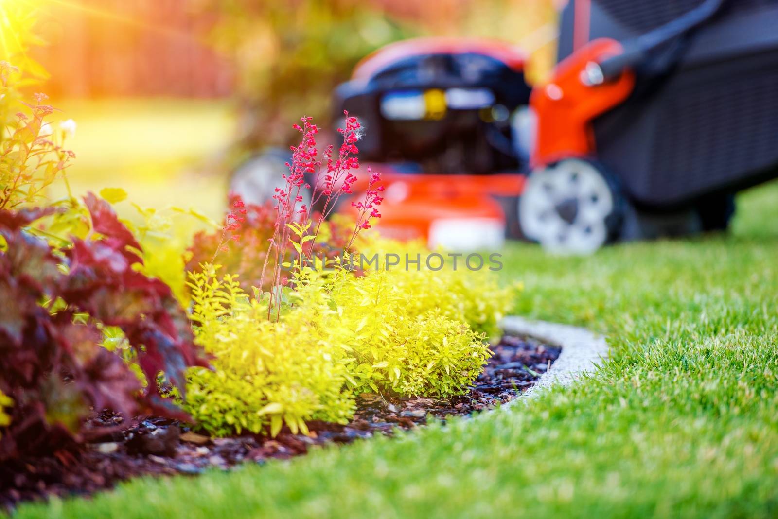Taking Care of Garden Concept. Garden Plants and Grass Mower in the Background.
