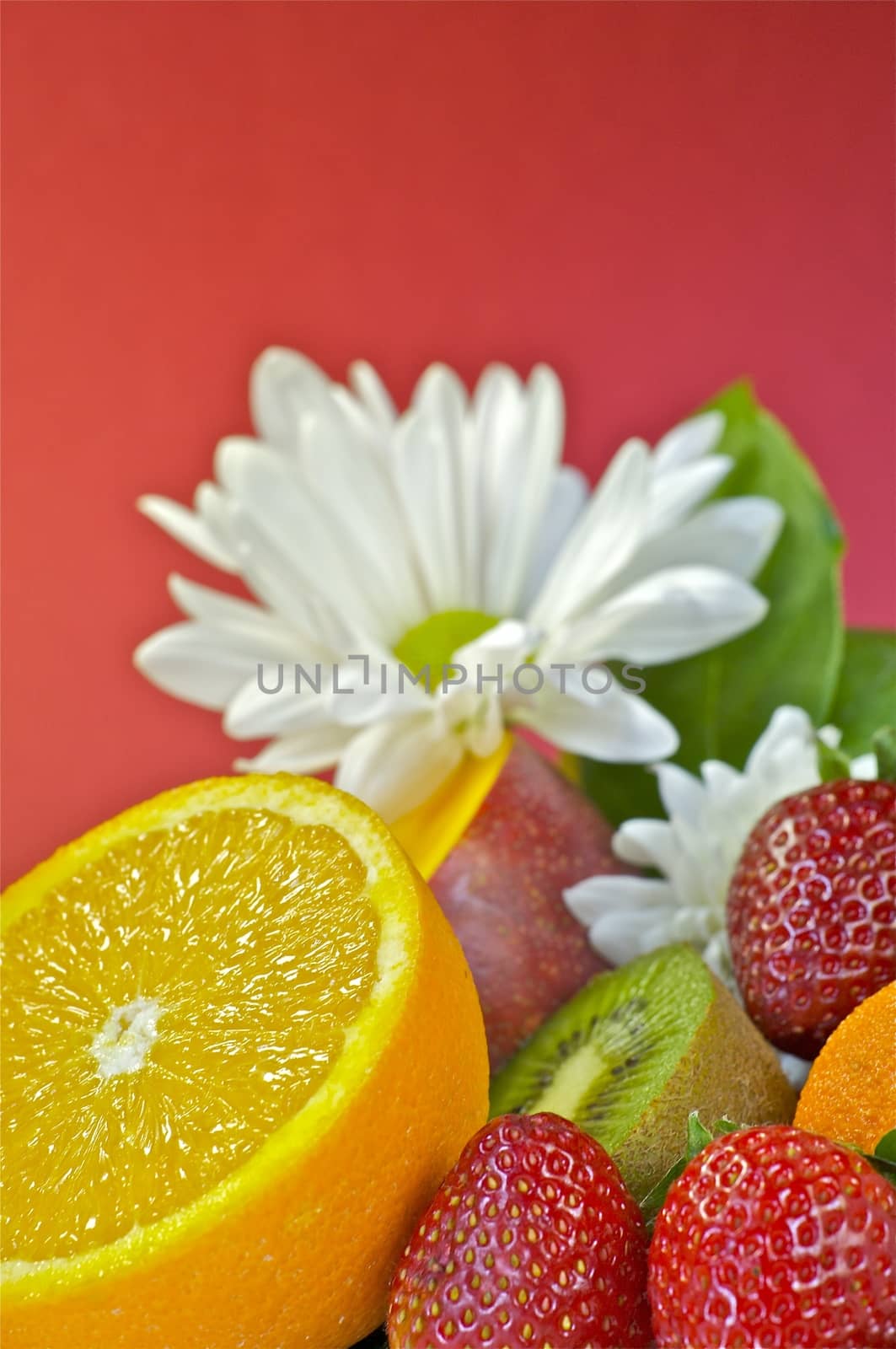 Fruits on the Red Background. Fruits and Flower Composition. Vertical Photo