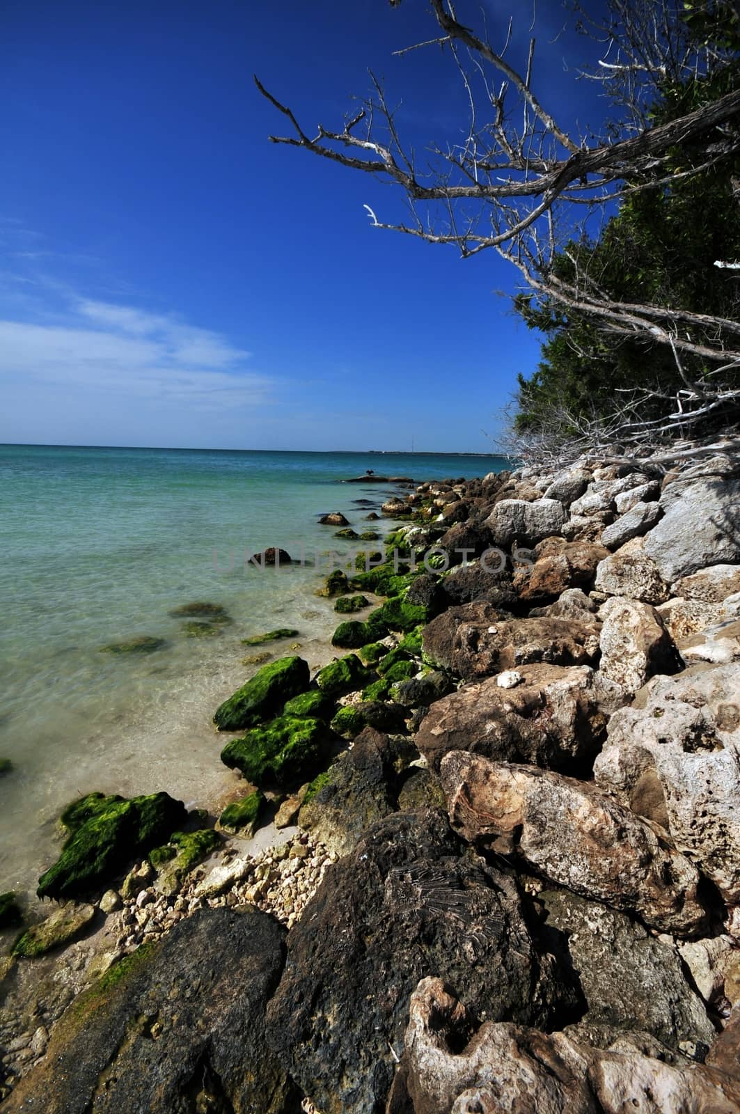 Bahia Honda Rocky Beach. Florida Keys USA. Vertical Photo