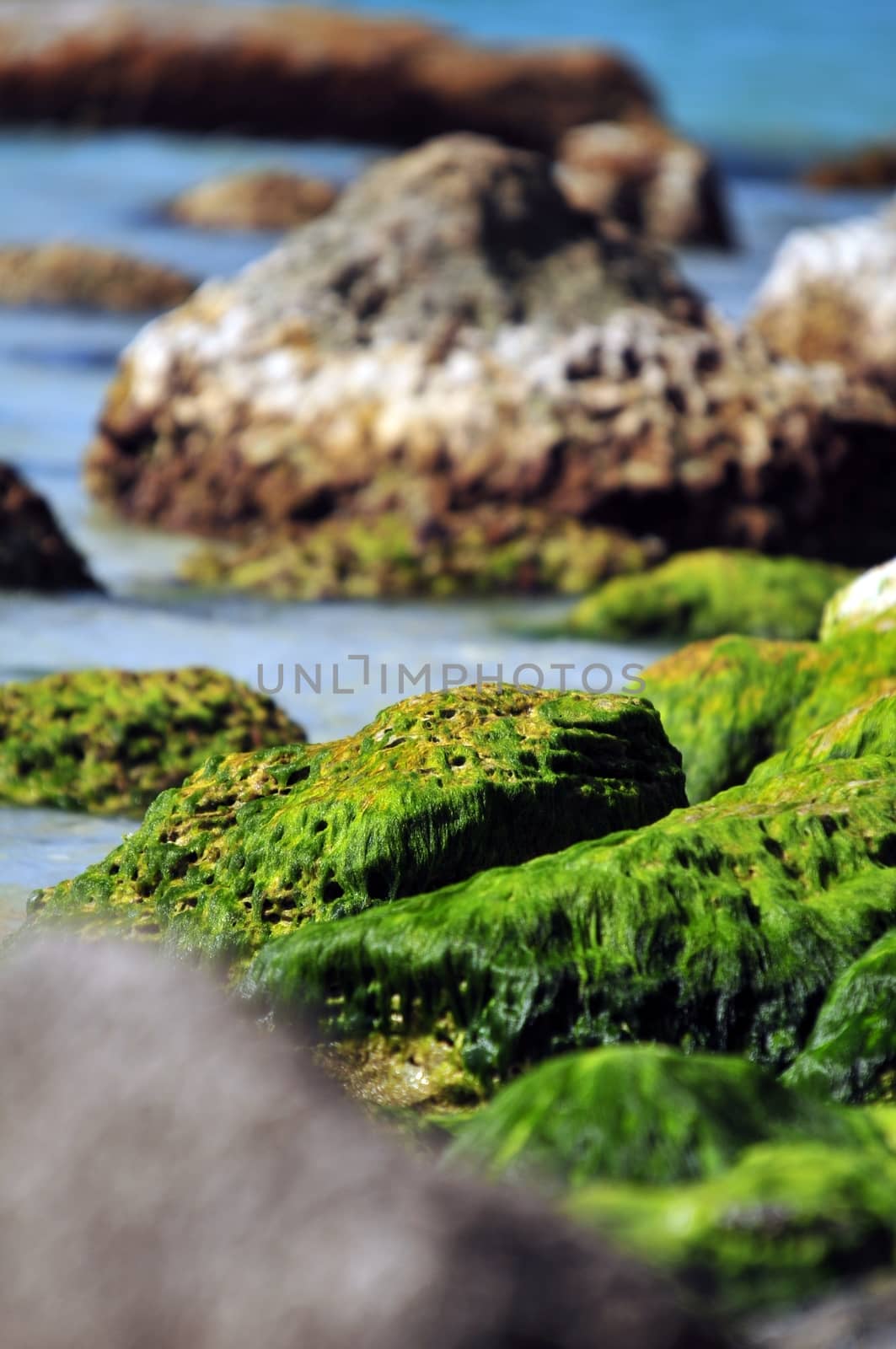 Green Rocks by welcomia