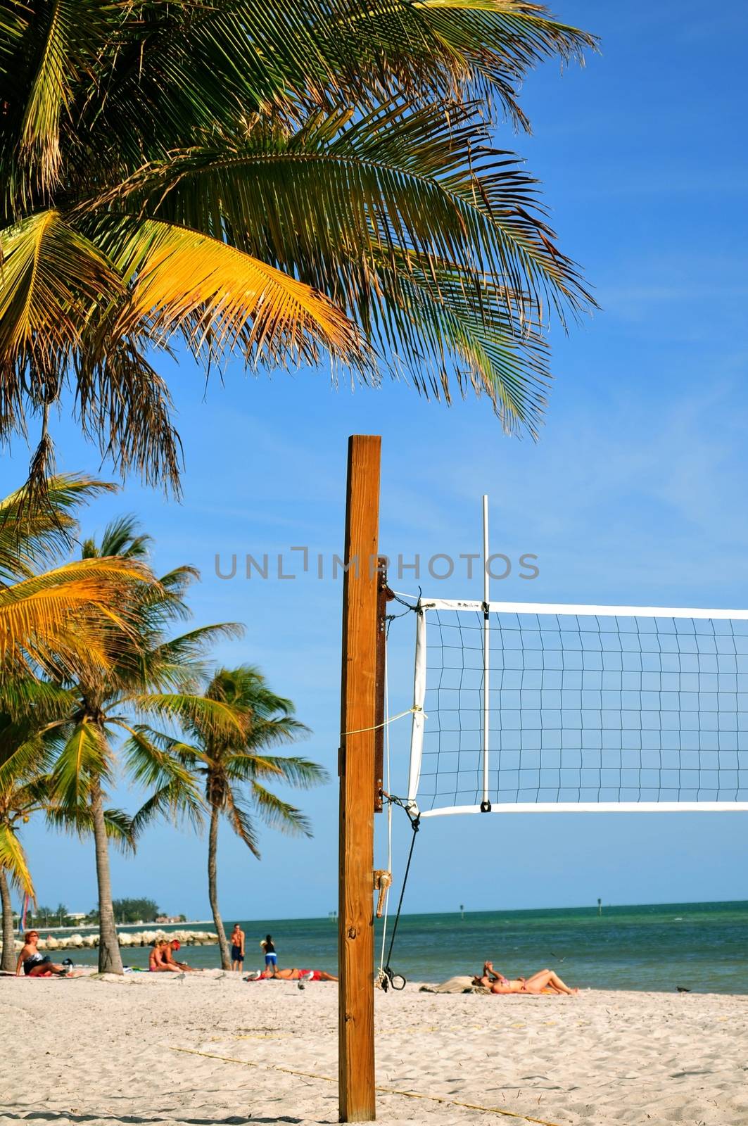 Beach Volleyball. Florida Key West USA