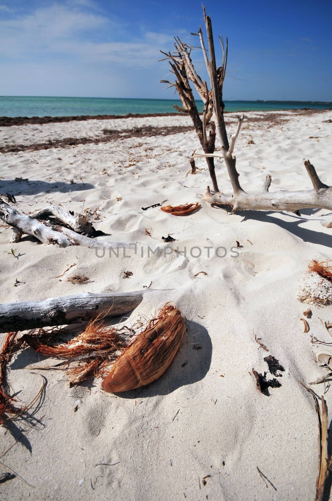 White Sands of South Florida Beaches. Florida USA