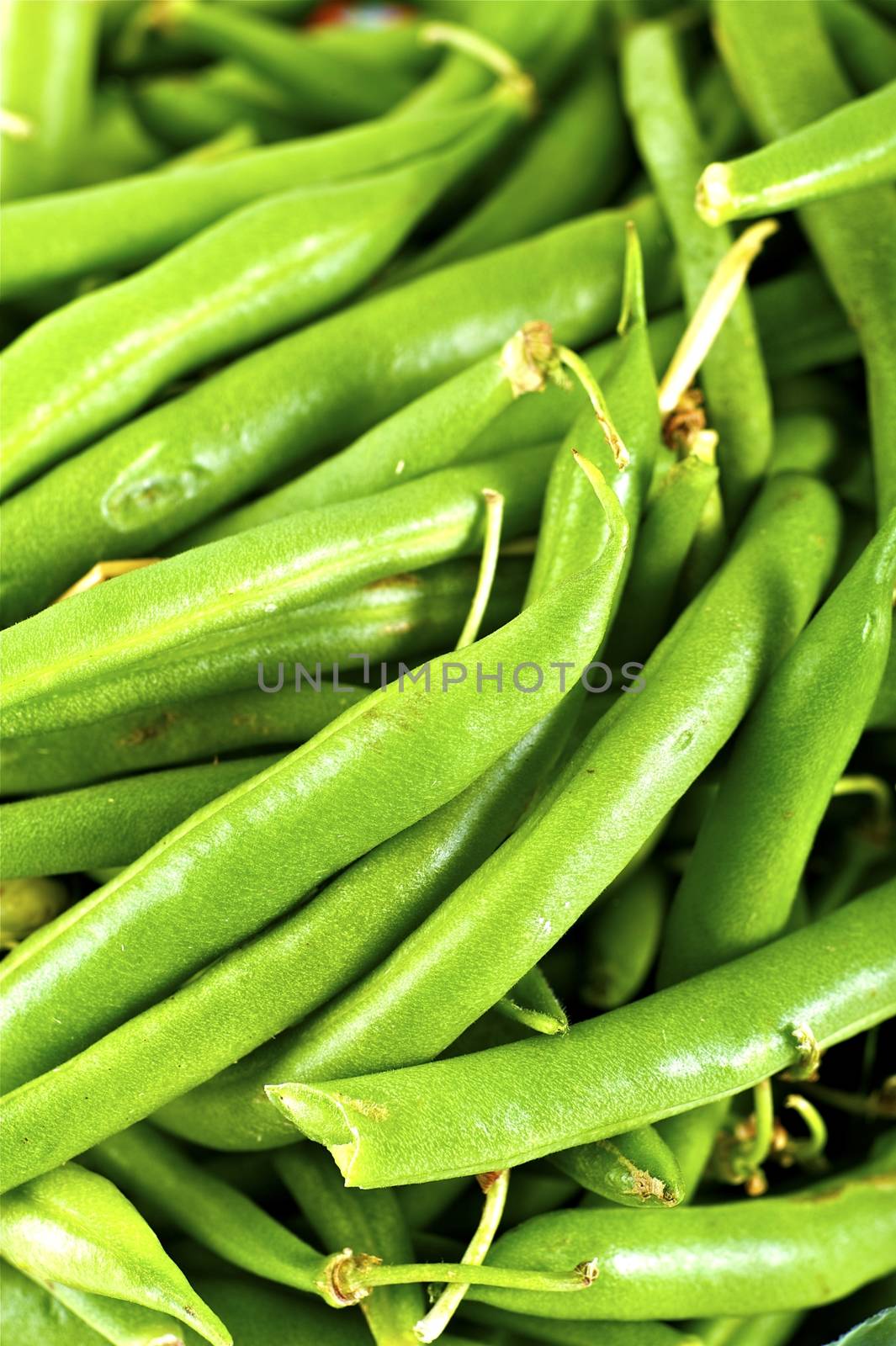 Asparagus Beans by welcomia
