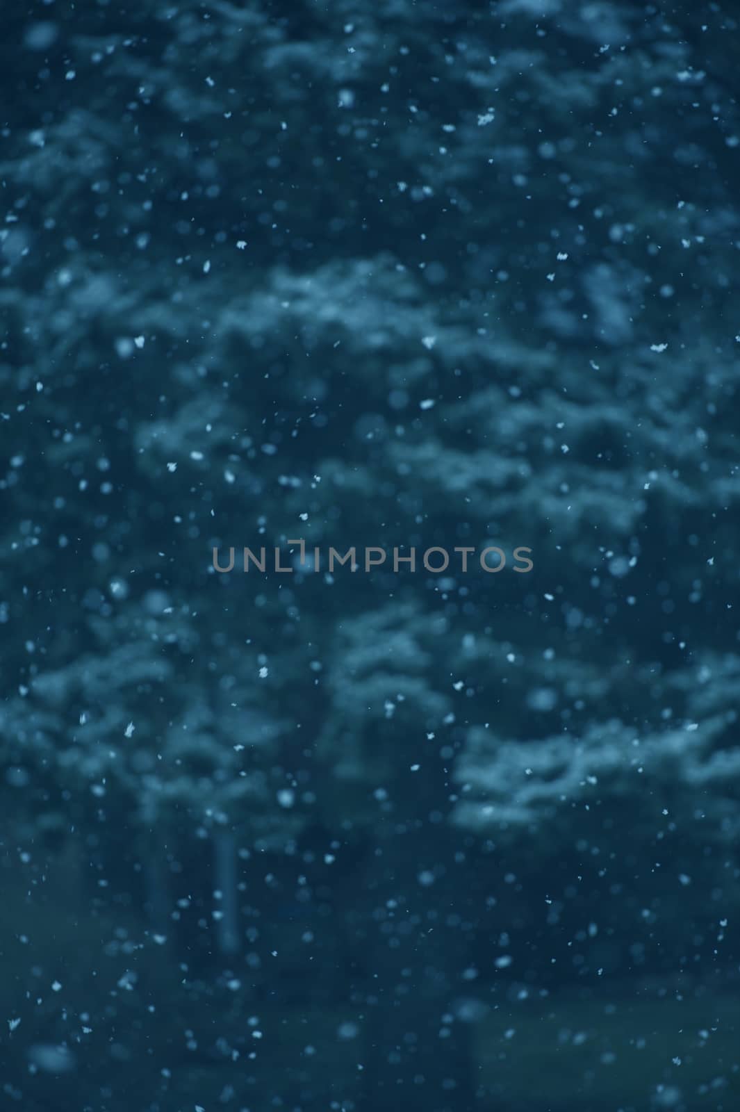 Falling Snow - Real Snow Flakes Photo Background.