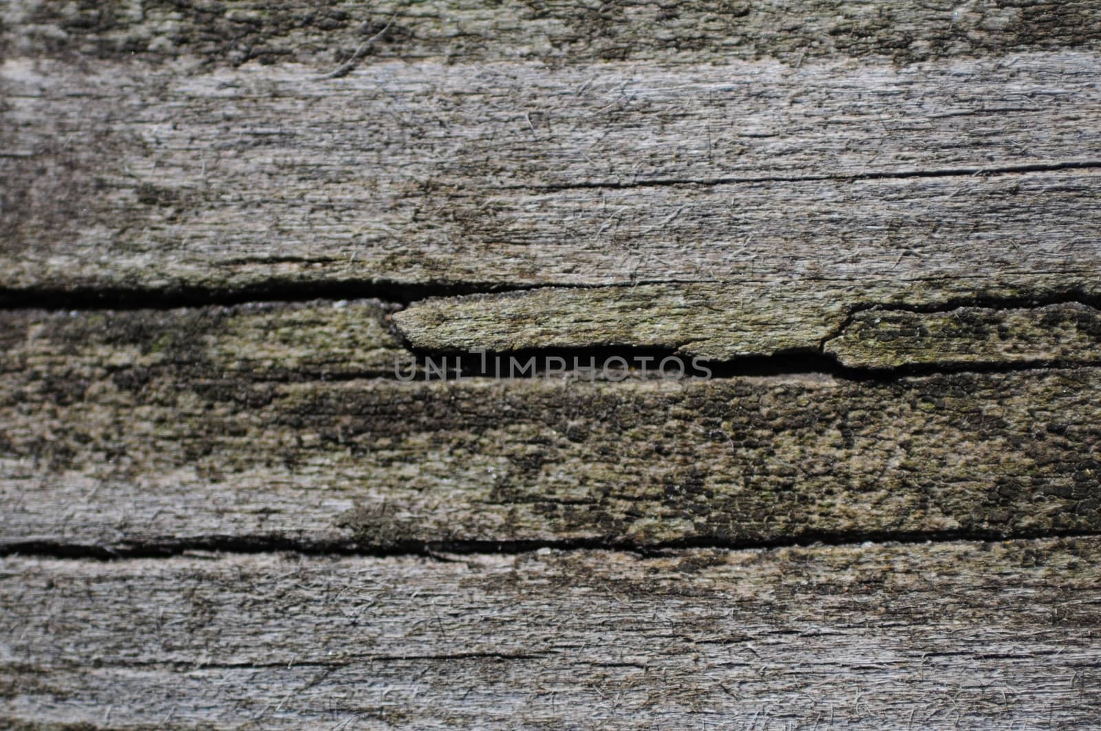 Old Wood Board. Cracked Wood Background