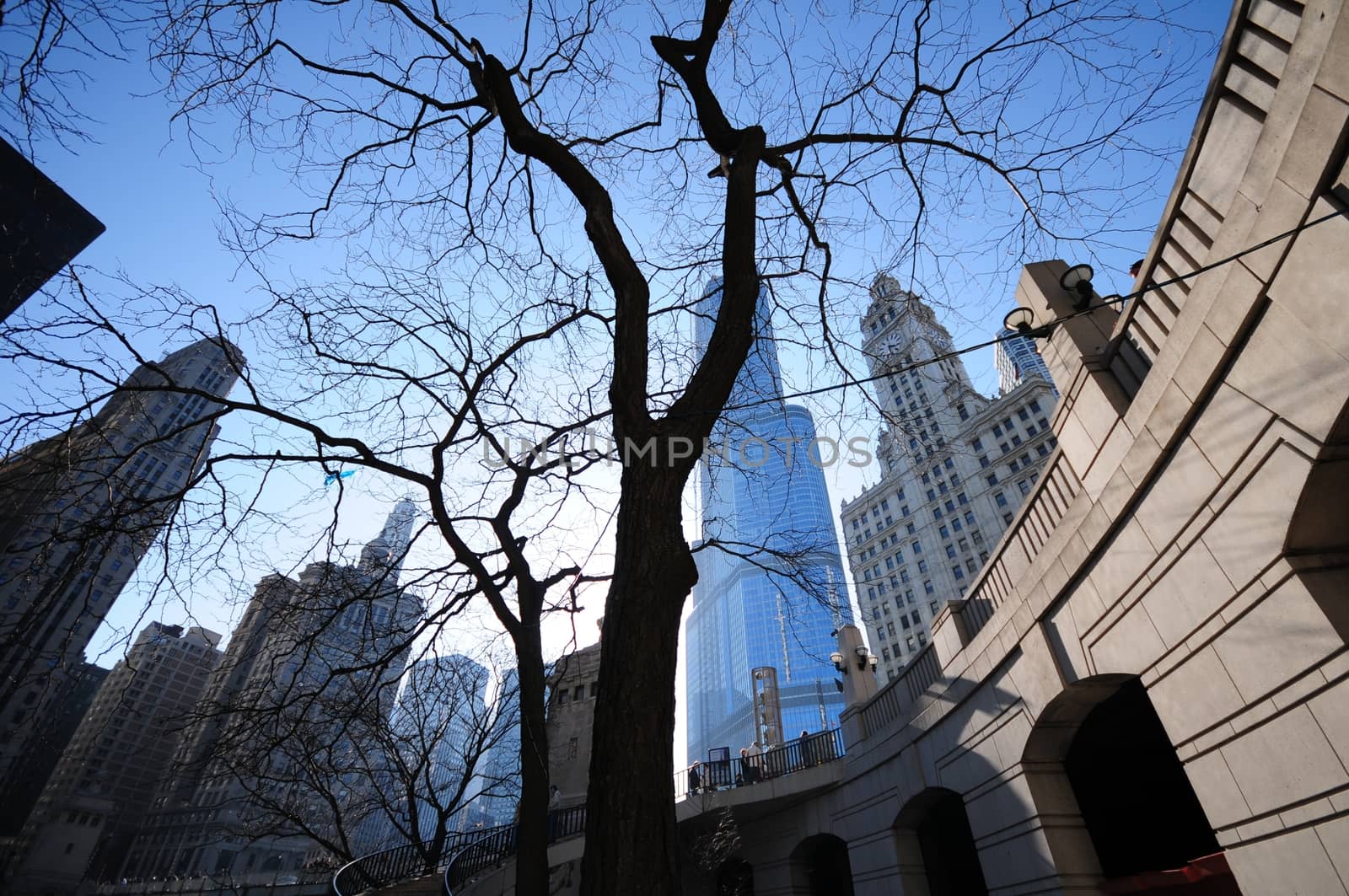 Downtown Chicago, Illinois, USA. Wide Angle Photo. Chicago Riverwalk