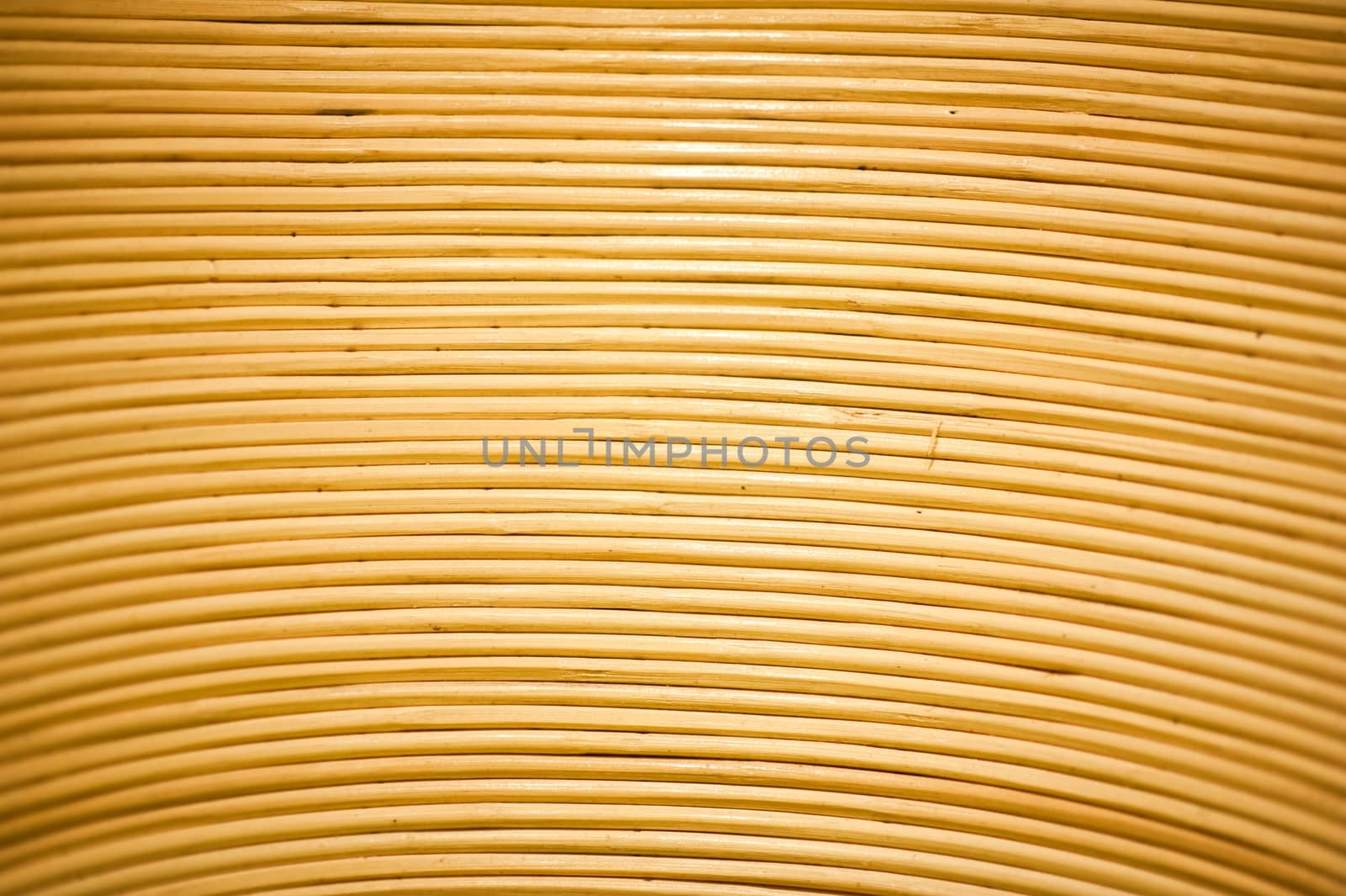 Wattle Background - Horizontal Wattle Photo Background