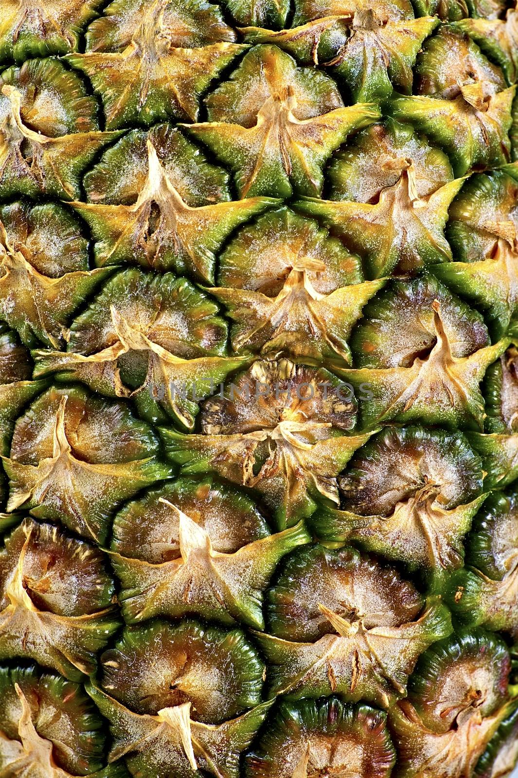 Pineapple Pattern Background. Vertical Pineapple in Macro Photography.