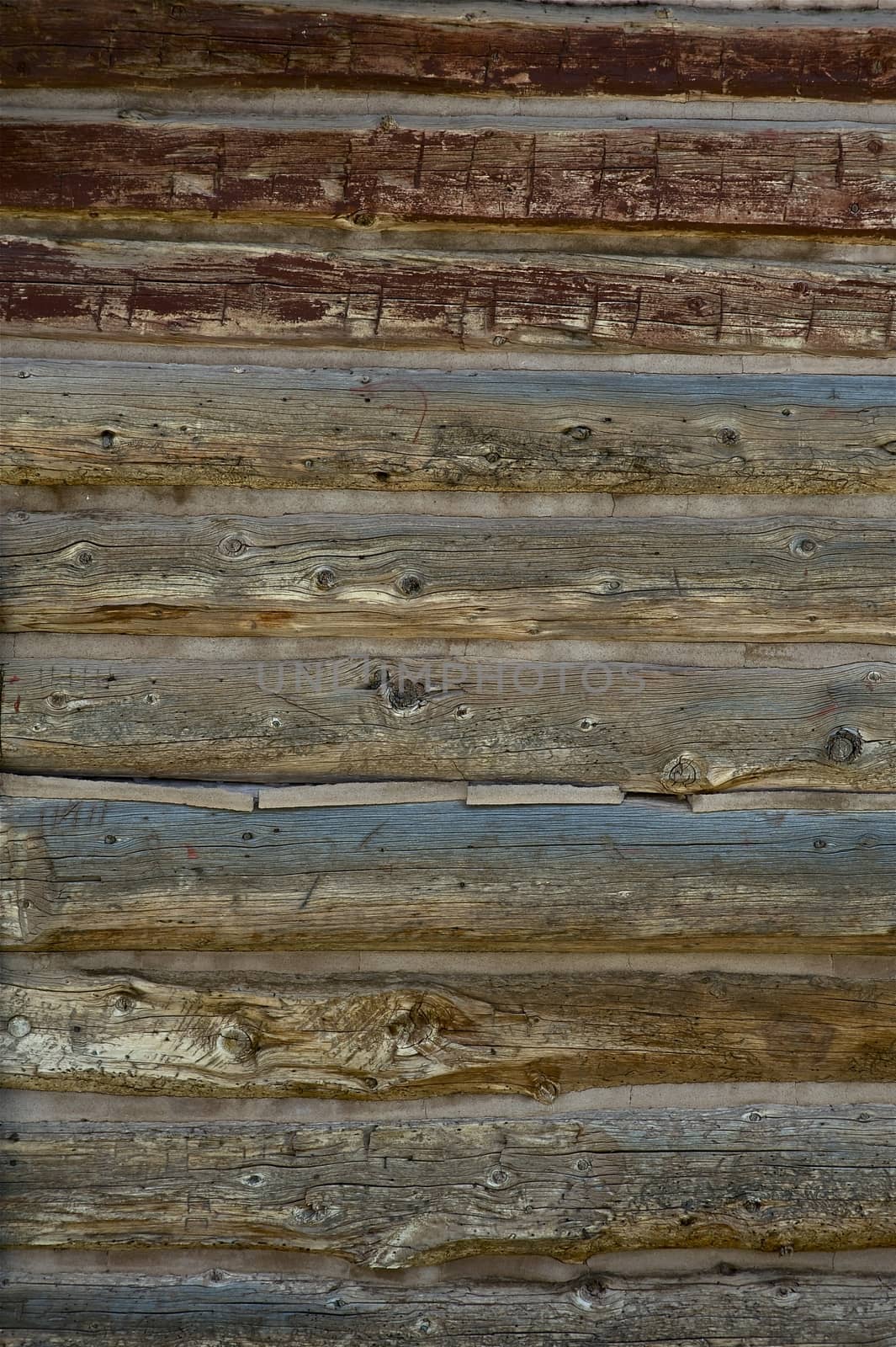 Old Wood Logs. Logs Background. Vertical Photo