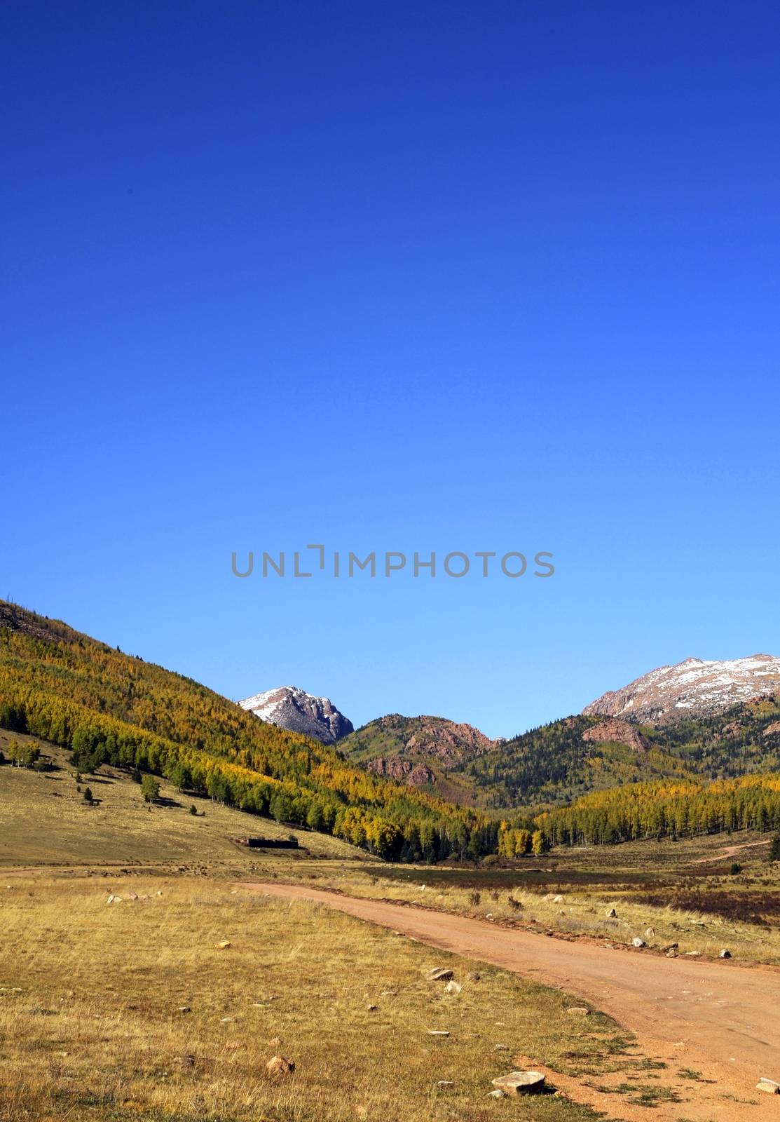 Pike Forest - Colorado Landscape with Pikes Peak. Autumn in the Colorado. Clear Blue Sky. Colorado Photo Collection