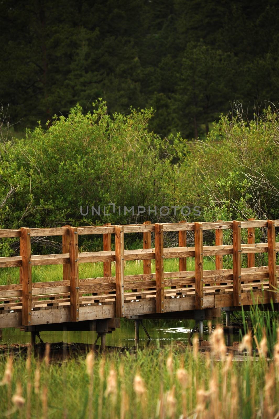 The Footbridge. Wood Footbridge in Colorado, USA