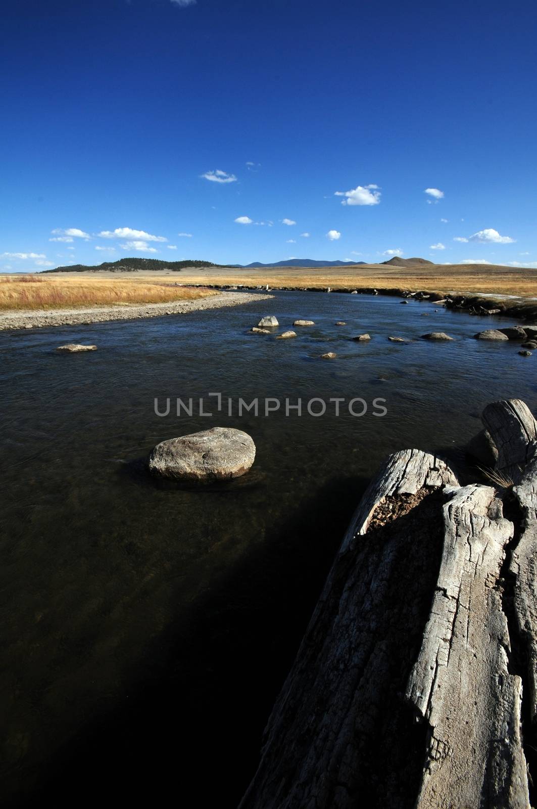 South Platte River. Colorado Plains. Portrait Photo