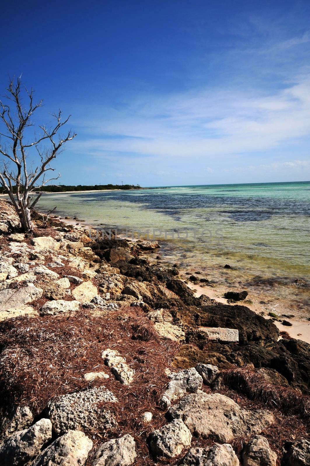 Bahia Honda State Park Beach. South Florida USA. Vertical Photo