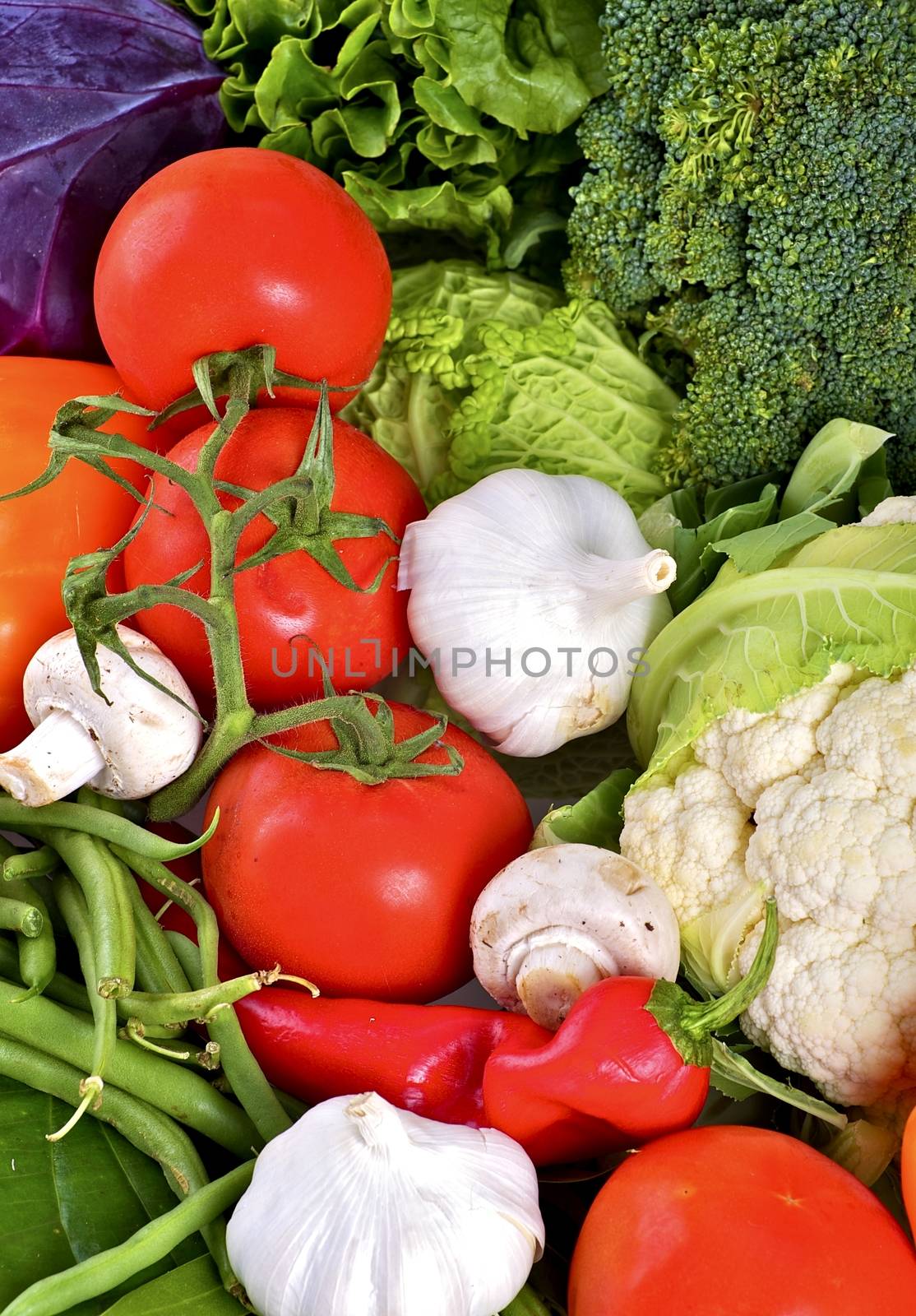 Vegetables Vertical Photo. Multi Vegetables Composition. Tomatoes, Garlic, Greens, Mushrooms and Broccoli. Vegetables Vertical Photography