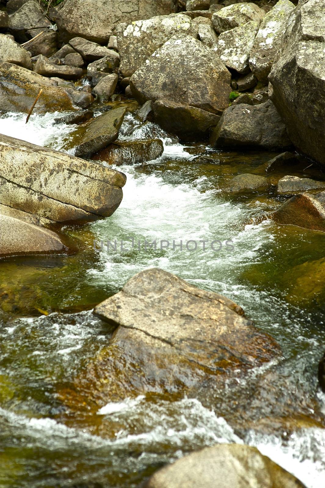 Clear Mountain River. Colorado Scenic - Colorado Rocky Landscape