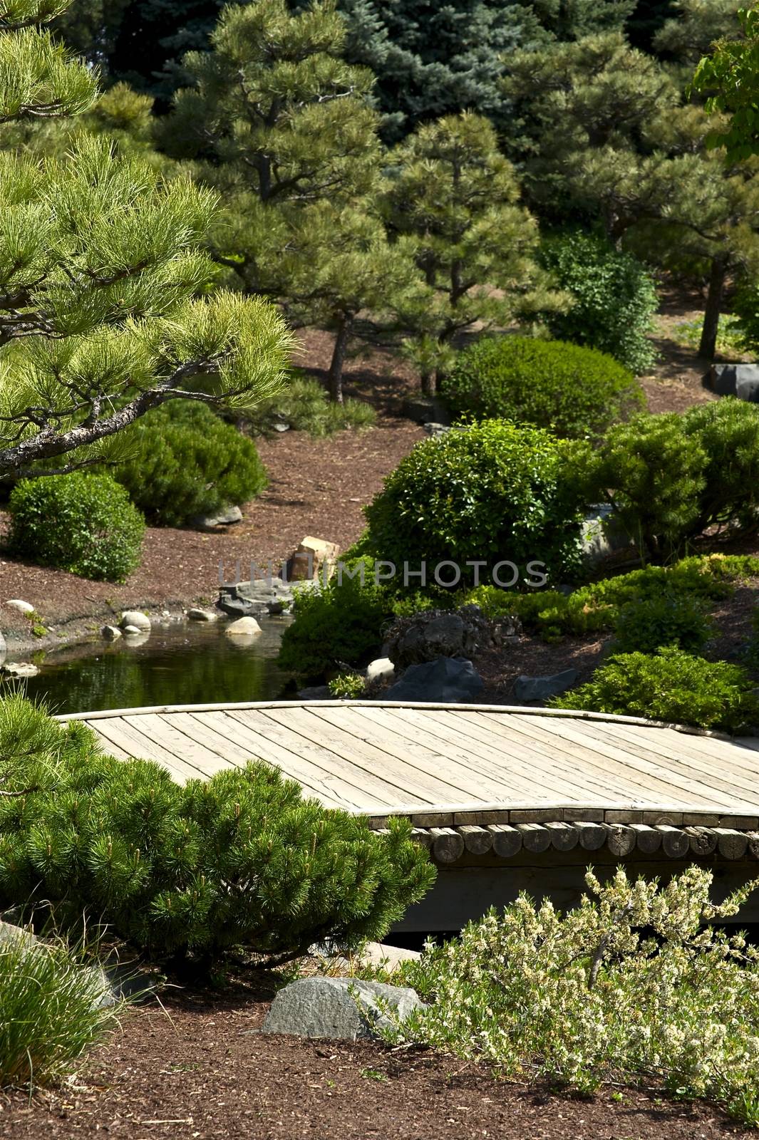 Small Wood Garden Bridge. Beautiful Spring Garden with Many Plants and Small Stream. Vertical Photo.