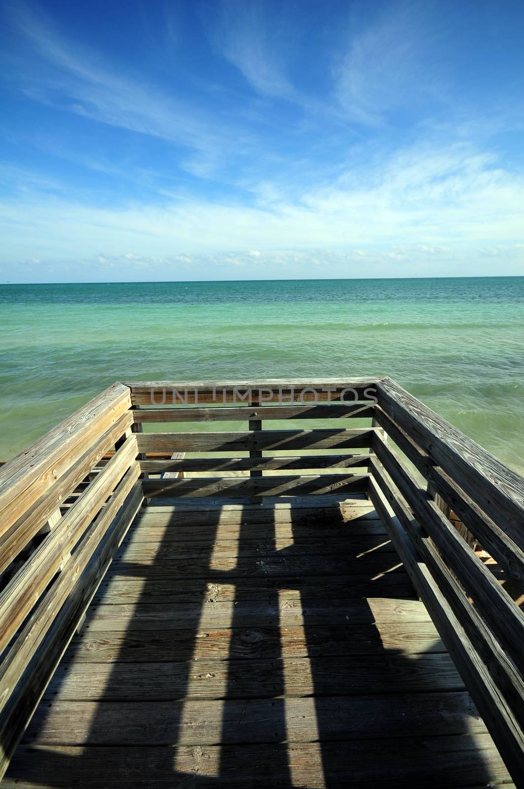 Ocean View and Ocean Front Wood Deck. Vertical Photo