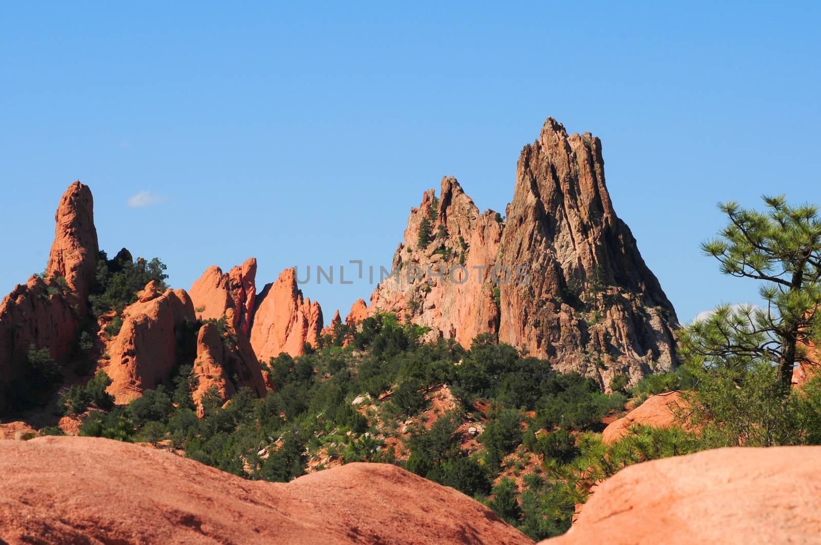Rocky Garden of the Gods in Colorado Springs, Colorado USA.