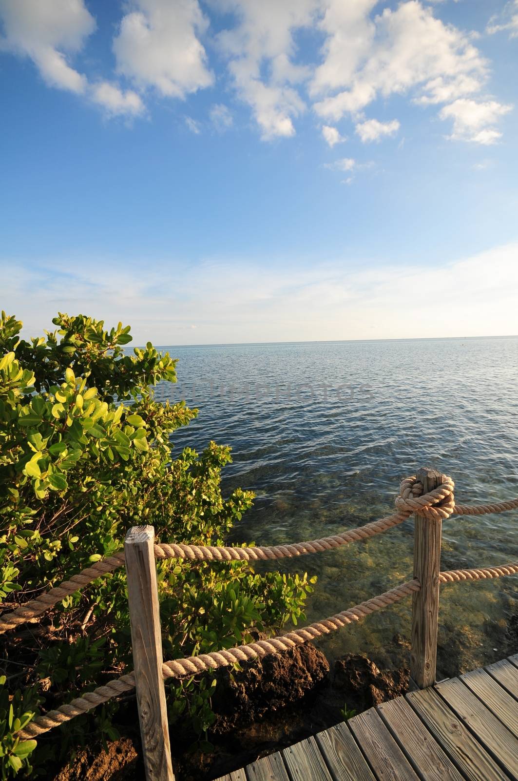 Atlantic Ocean View from the Wood Deck.