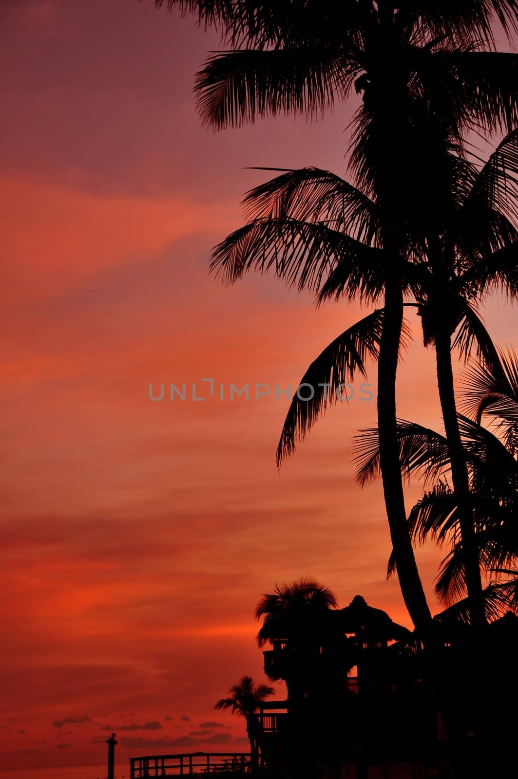 Exotic Sunset Background. Florida Keys. Great Shot for Vertical Design. Left Side Content Ready.