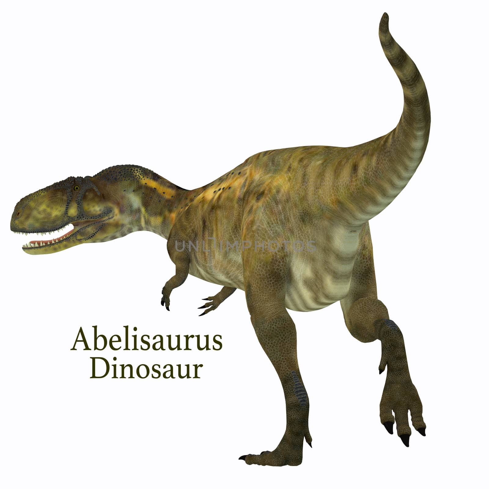 Abelisaurus was a carnivorous theropod dinosaur that lived in Argentina in the Cretaceous Period.