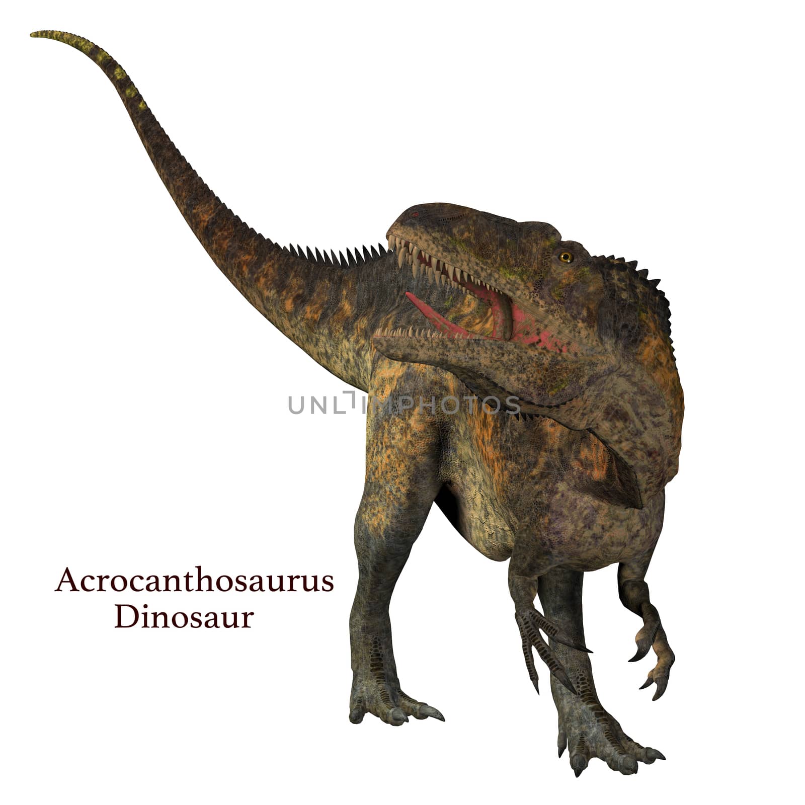 Acrocanthosaurus Dinosaur Tail with Font by Catmando