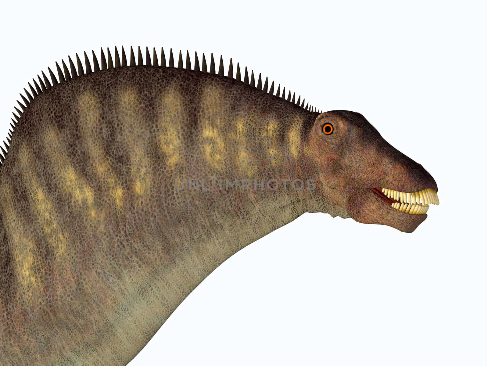 Amargasaurus Dinosaur Head by Catmando