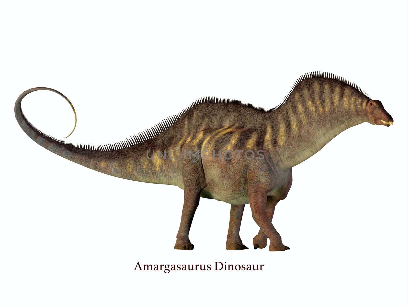 Amargasaurus Side Profile with Font by Catmando