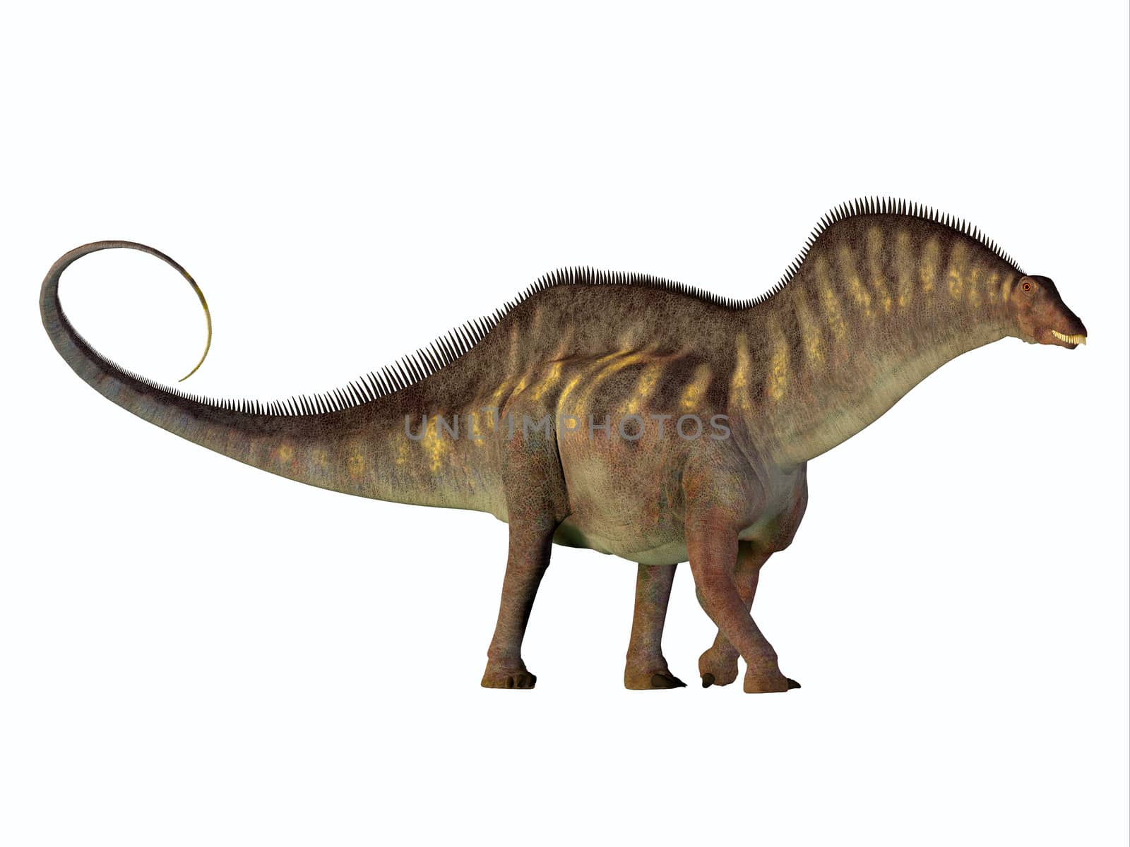 Amargasaurus Side Profile by Catmando