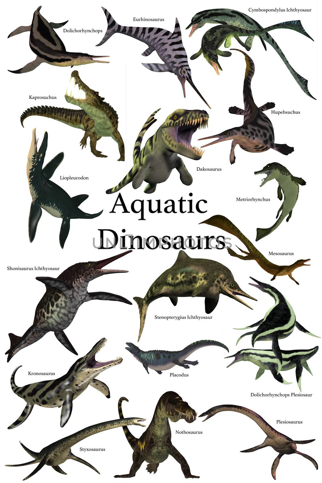 A collection of various marine reptile dinosaurs from different prehistoric periods of Earth's history.