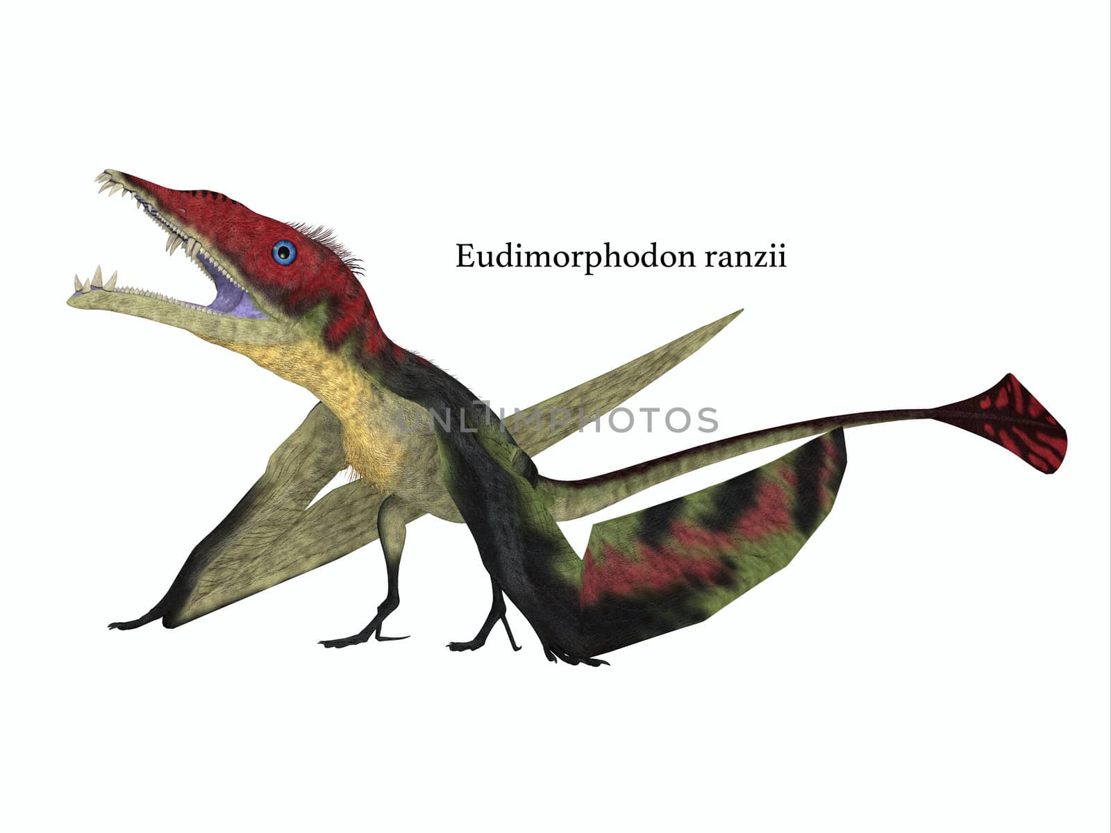 Eudimorphodon Resting with Font by Catmando