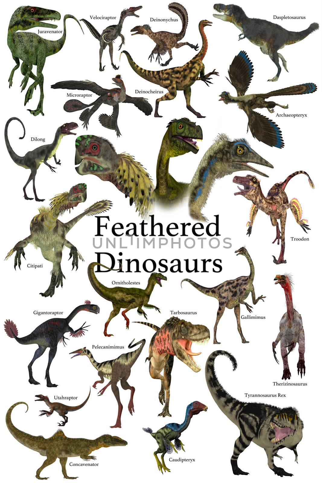 Feathered Dinosaurs by Catmando