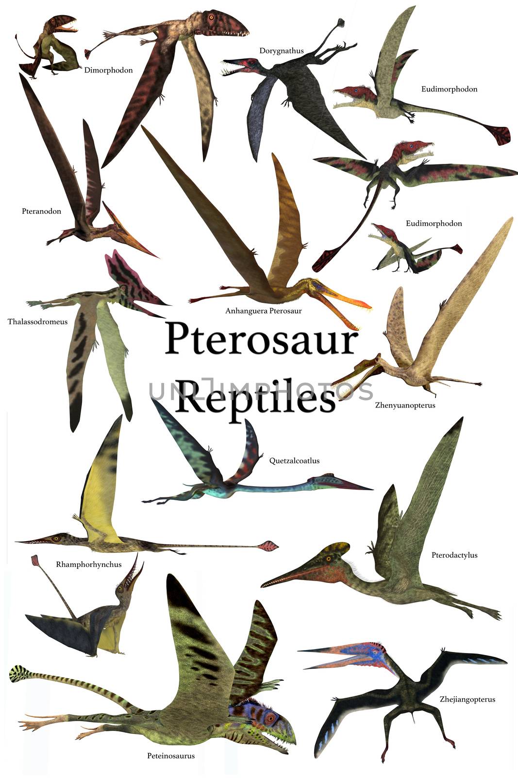 Pterosaur Reptiles by Catmando