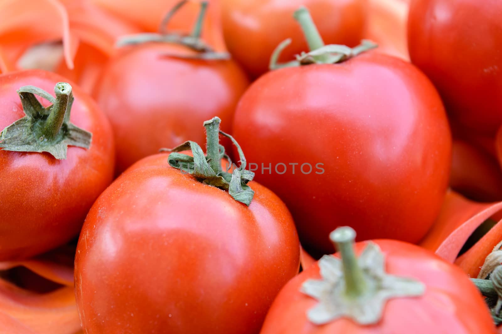 Ripe red tomatoes on flowers
