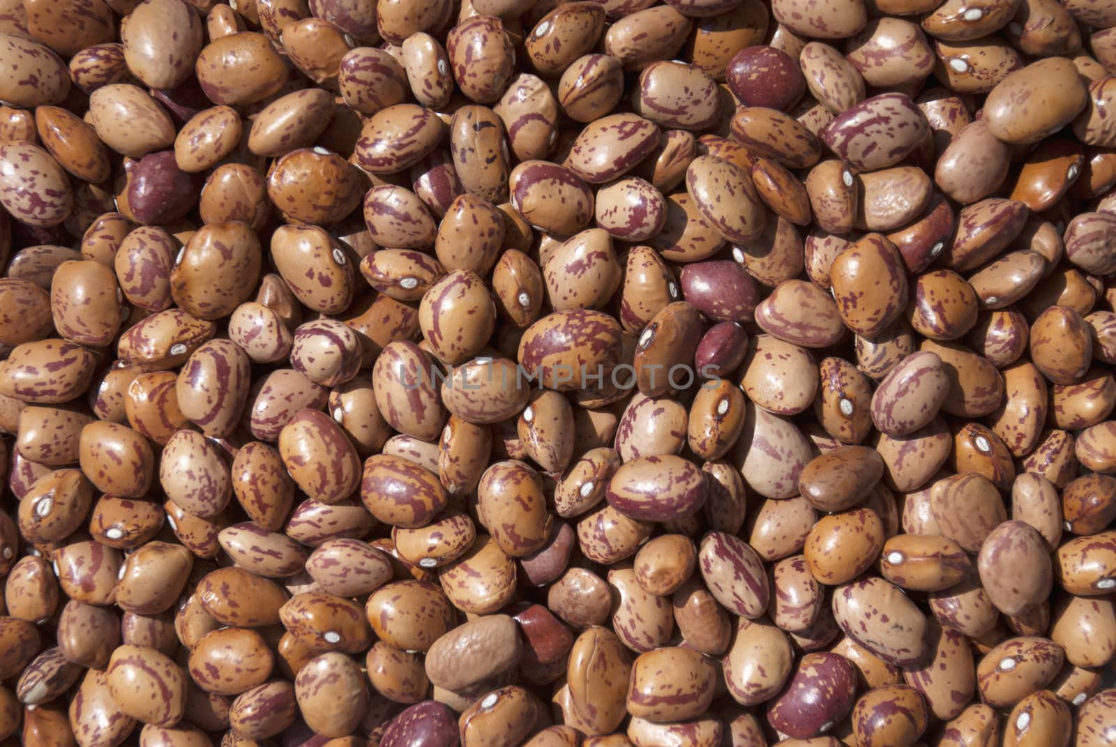 Kidney beans for backgrounds texture