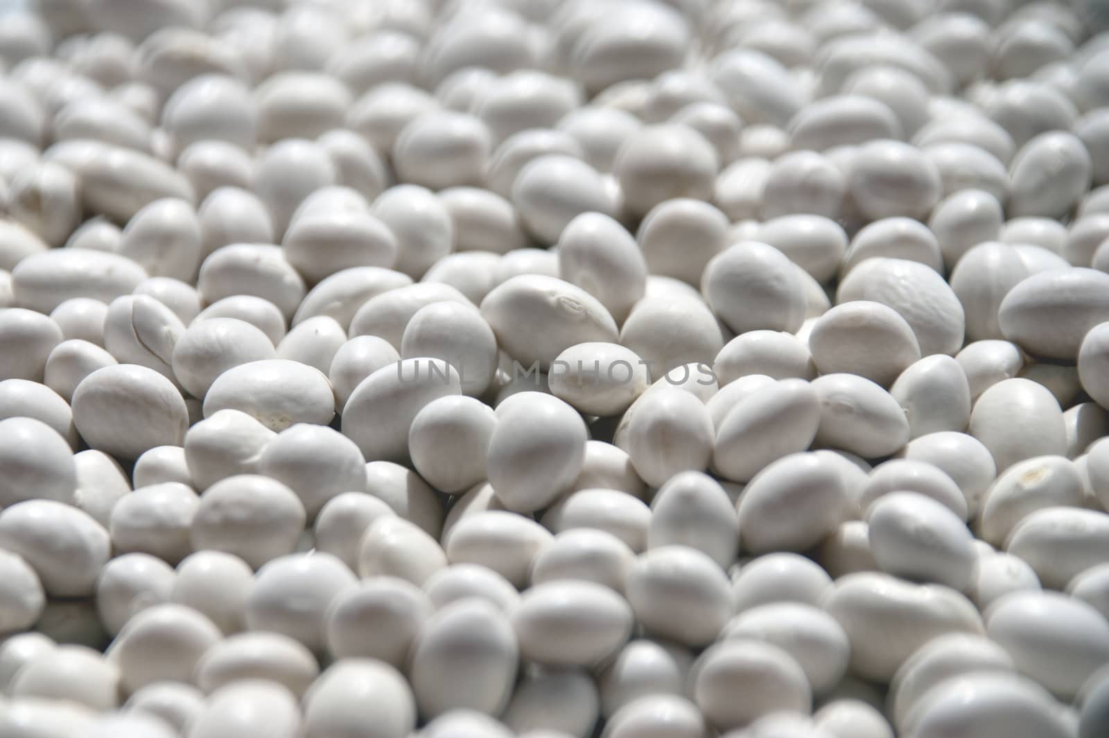 haricot beans for Background  texture.