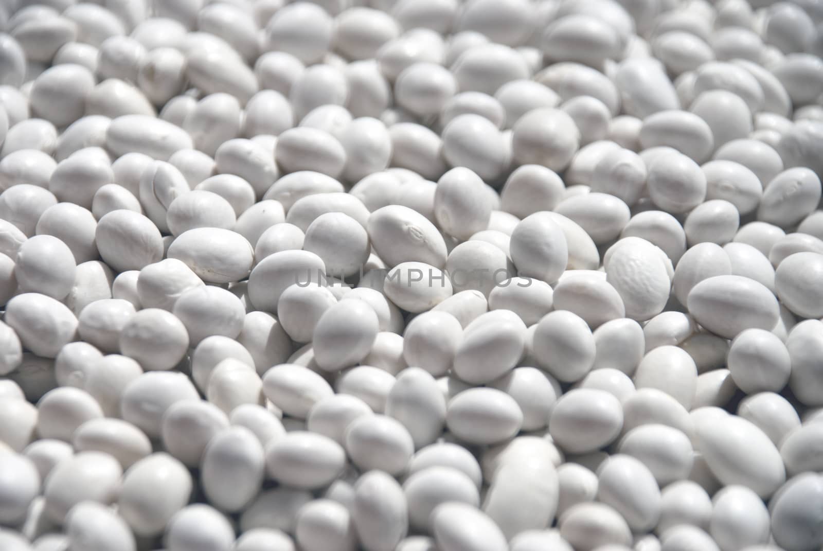 haricot beans for Background  texture.