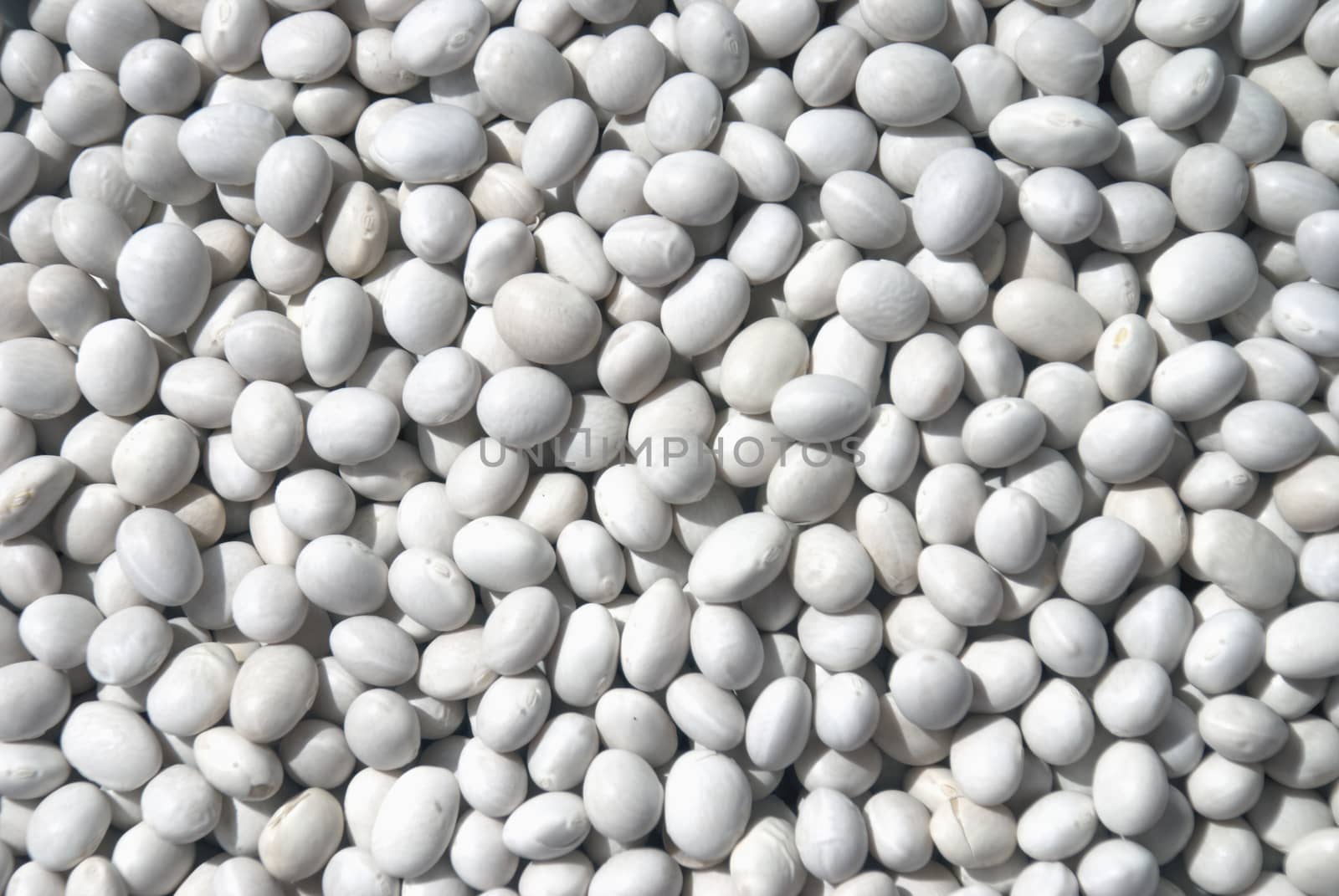 haricot beans for Background  texture.