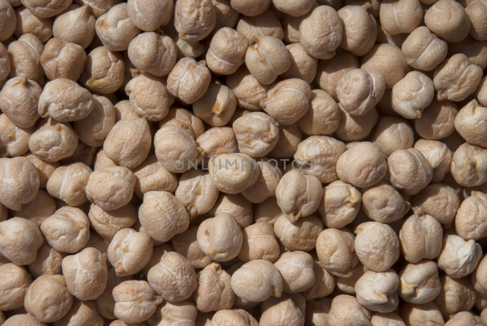 Chickpeasfor backgrounds  texture close up image.