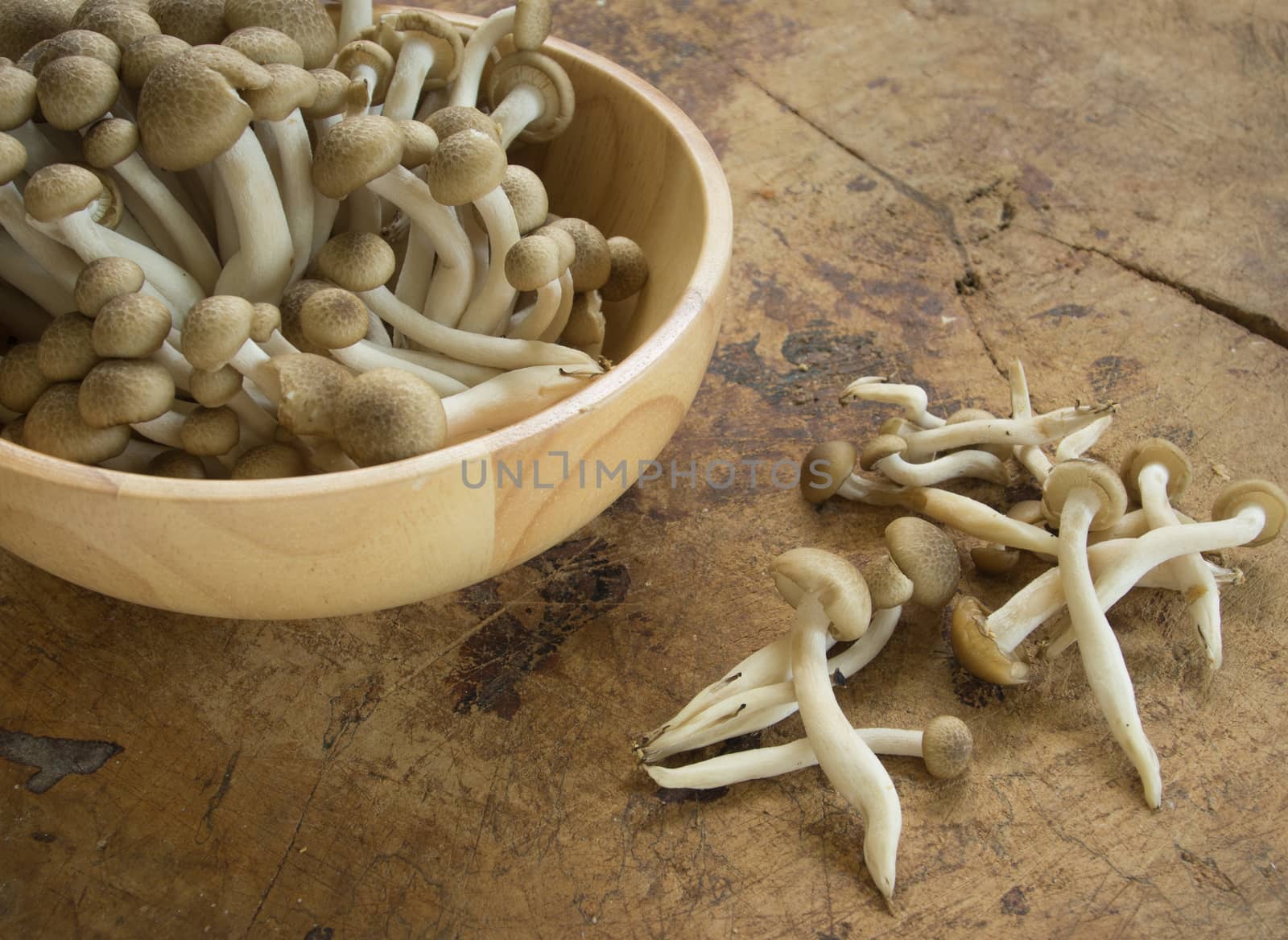 Preparing shimeji mushroom for cooking
