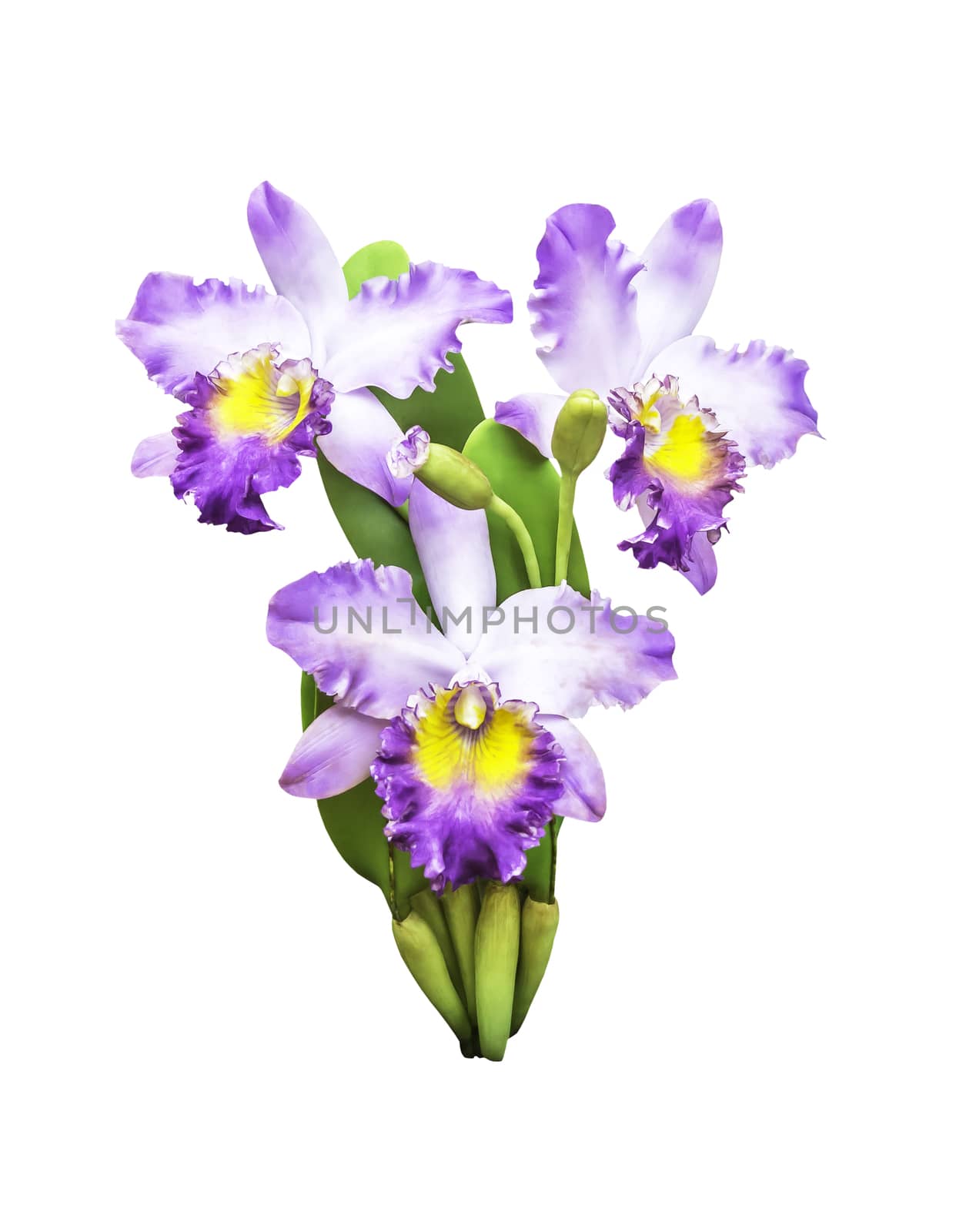 Artificial bouquet orchid flower isolated on white backgrund with clipping path