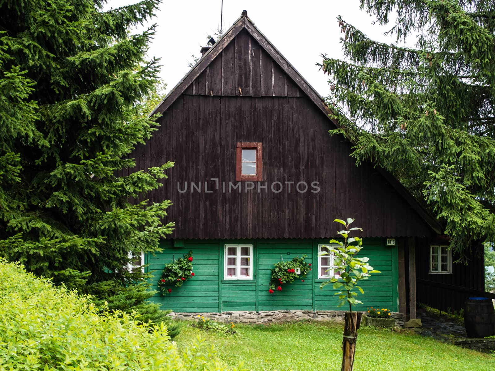 Traditional mountain chalet, natural brown and green front by weruskak