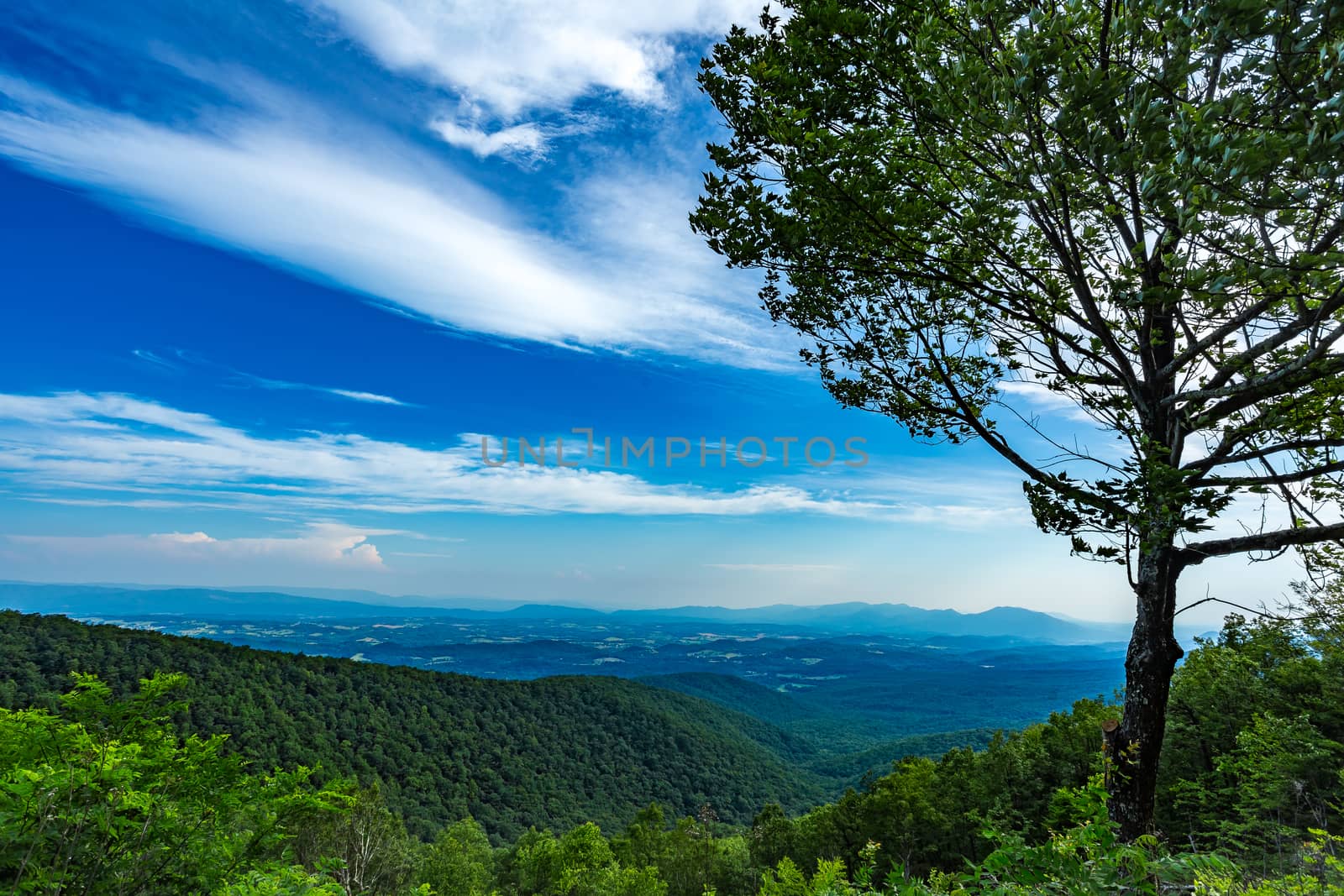 The Blue Ridge Parkway offers mountain scenery while traveling thropught the Appalachians.