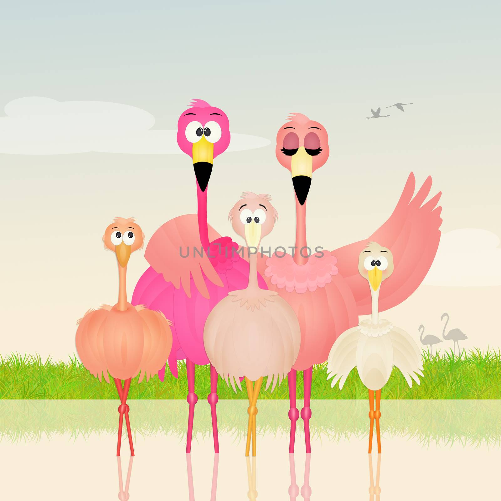 illustration of family of pink flamingos