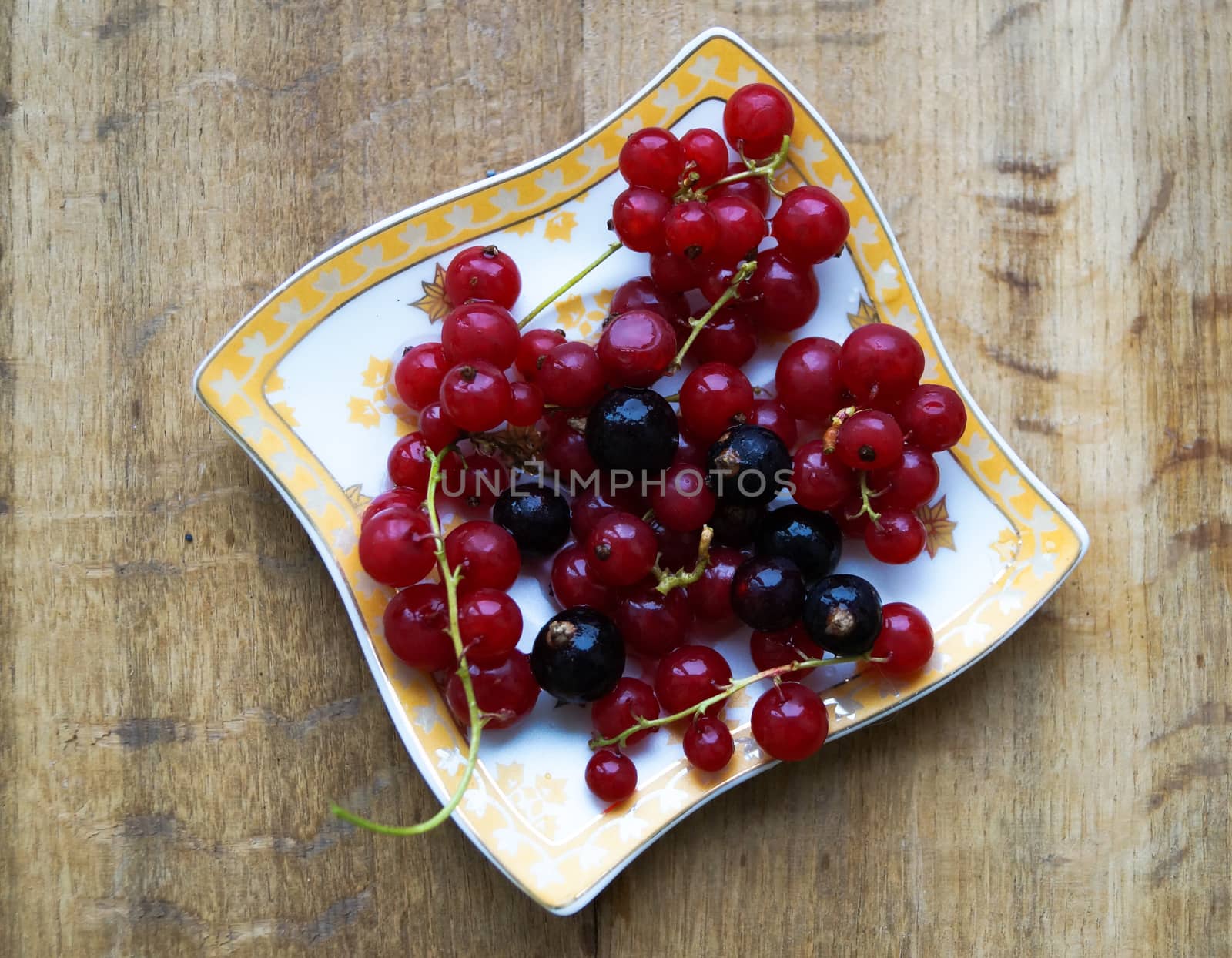 currant berries on a plate on a table by Oleczka11