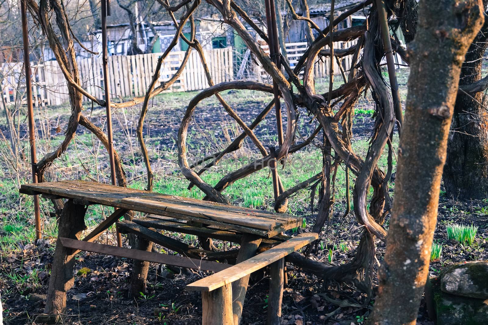 cozy place in the garden wooden benches and table by Oleczka11