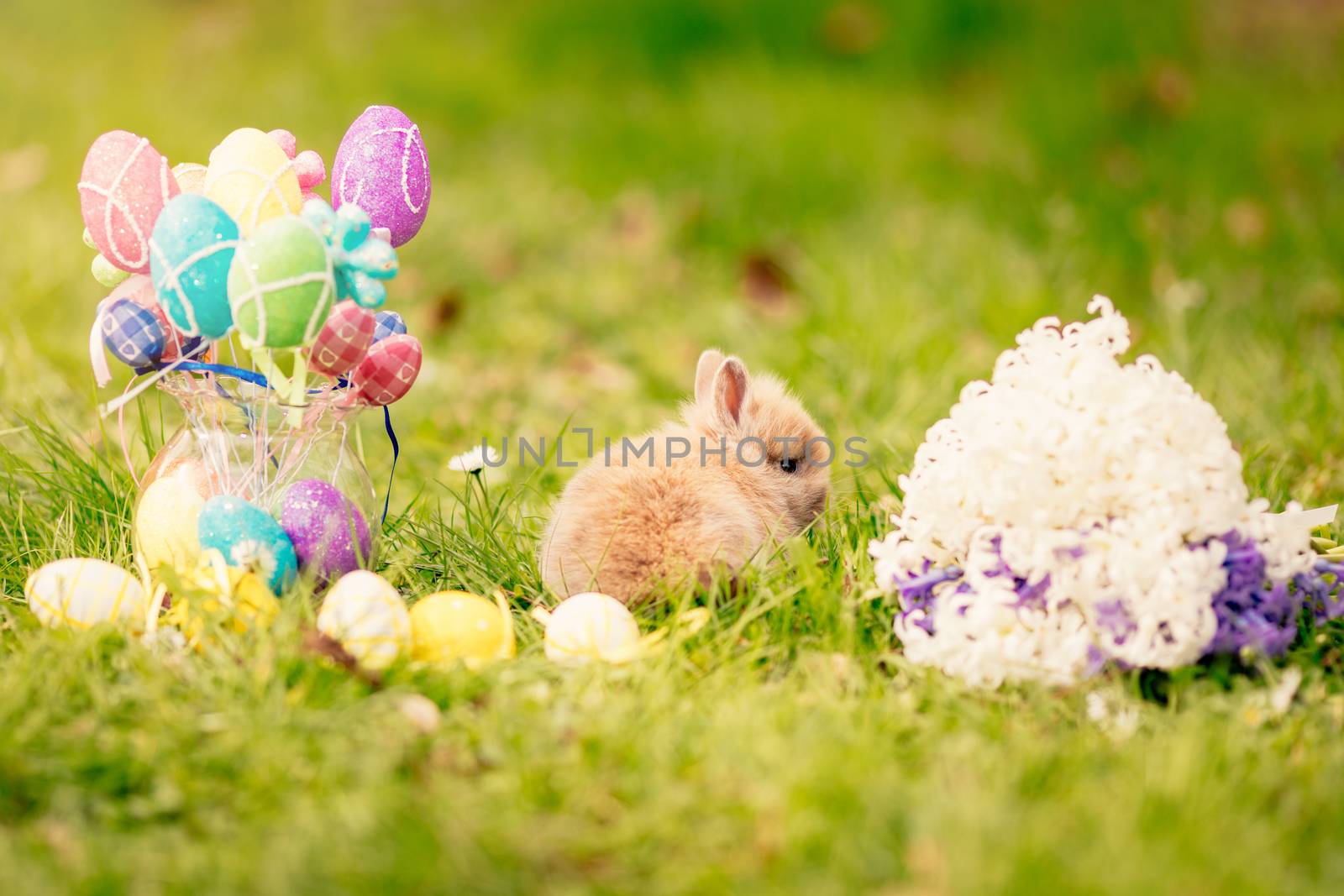 Cute little bunny with flowers and Easter eggs on the grass in spring holidays.